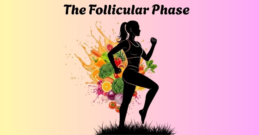 Fertility Cycle The Follicular Phase
