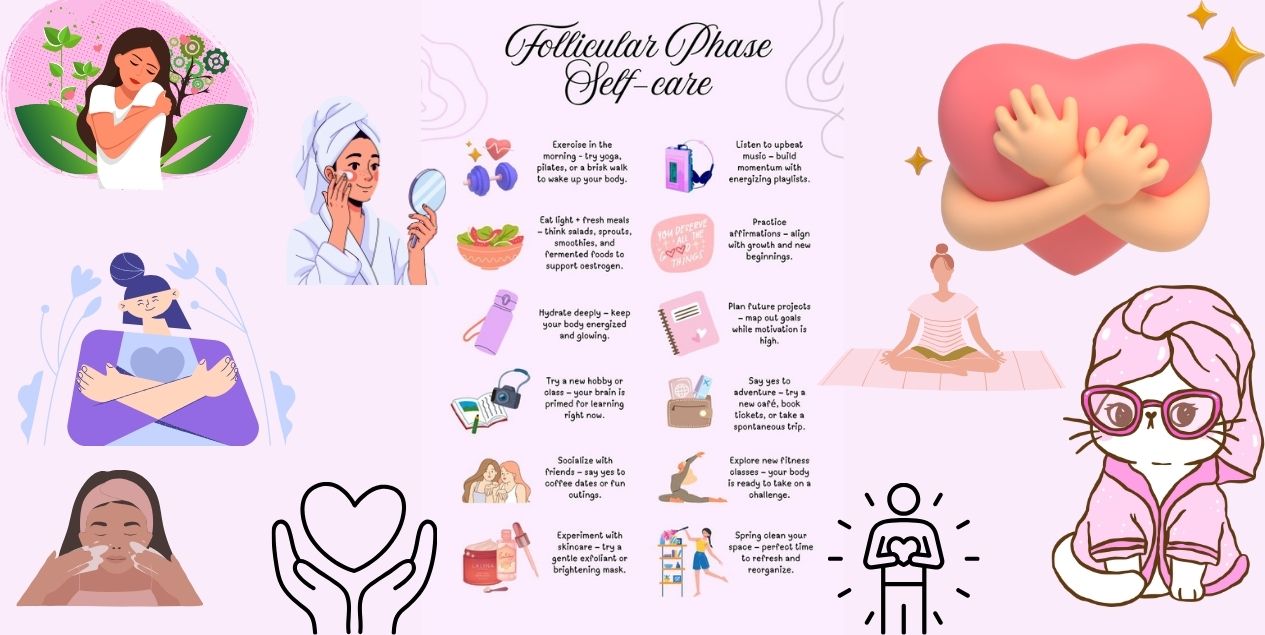 Follicular phase guide